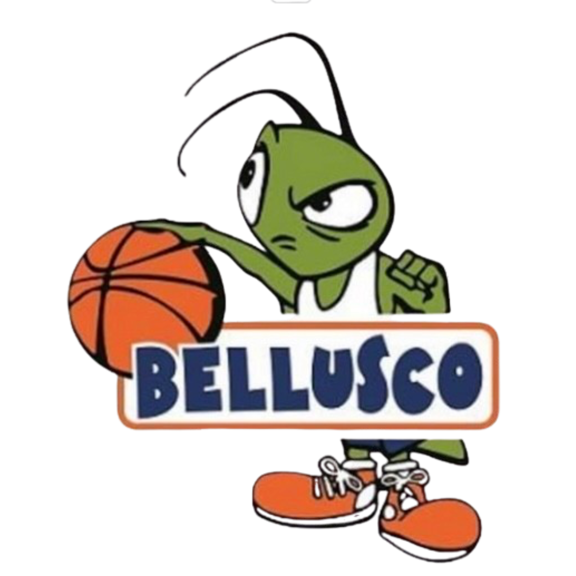 Basket