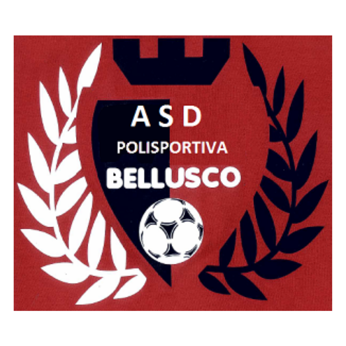 Calcio a 5